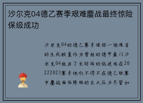 沙尔克04德乙赛季艰难鏖战最终惊险保级成功